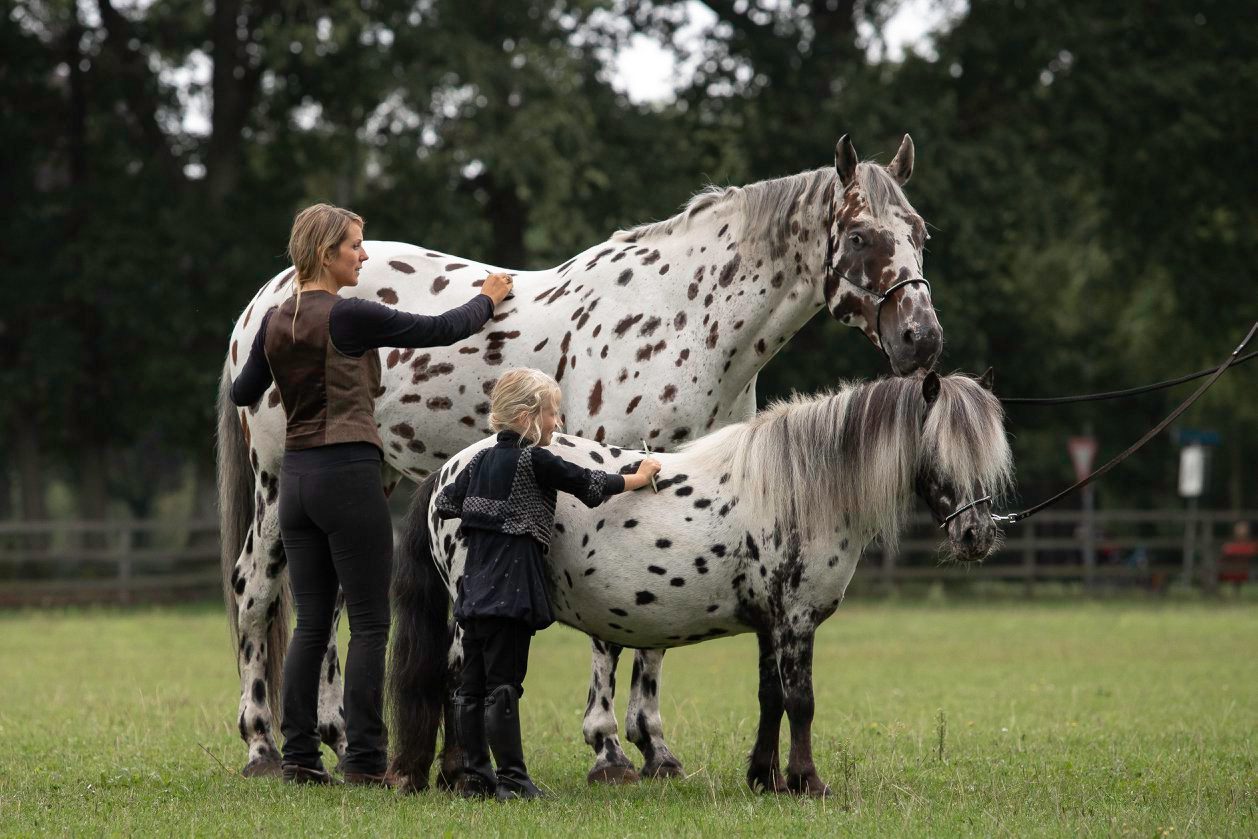 Greetje Arends-Hakvoort - Me & My Mini Me